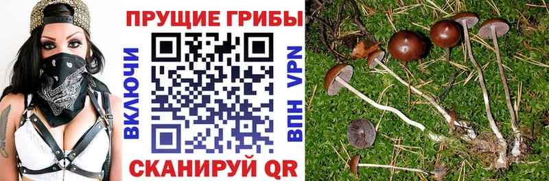 Псилоцибиновые грибы мухоморы  где можно купить наркотик  Углич 